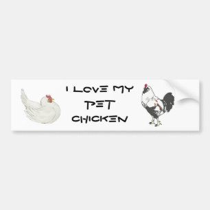 Pet Chicken Bumper Sticker
