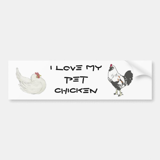 Pet Chicken Bumper Sticker (Front)