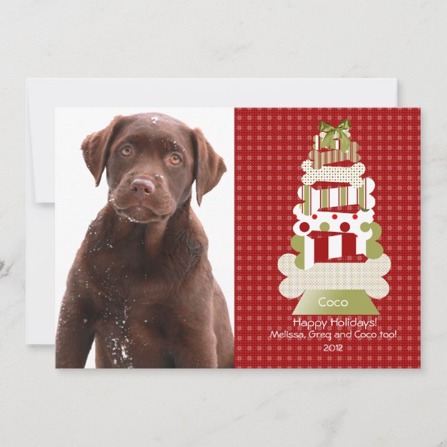 Pet Christmas Cards | Flat Card Invitation Stock (Front)