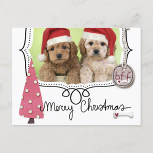 Pet Christmas Photo Card