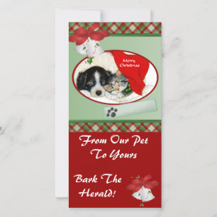 Pet Christmas Photo Card