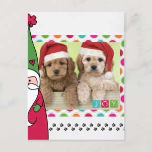 Pet Christmas Photo Card