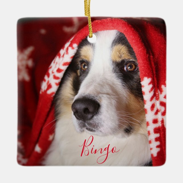 Pet Christmas Photo Ceramic Ornament (Front)