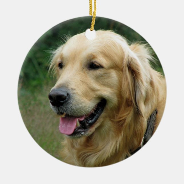 Pet Christmas photo present keepsake Ceramic Tree Decoration (Front)