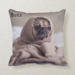Pet cushion
