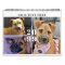 Pet Custom Photo Collage 4 Per Month