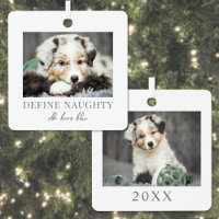 Pet Define Naughty Dog Photo Christmas