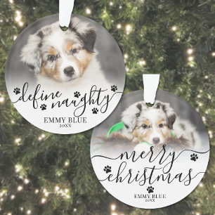 Pet Define Naughty Dog Photo Christmas Ornament