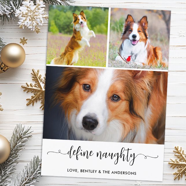 Pet Define Naughty Dog Photo Collage Christmas  Holiday Card (Creator Uploaded)