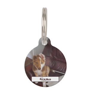 Pet Details and Photo Tag