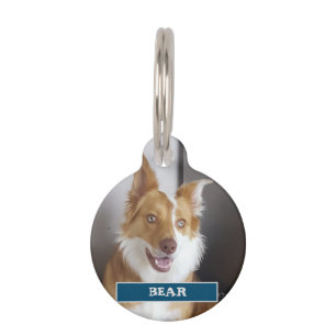 Pet Details and Photo Tag