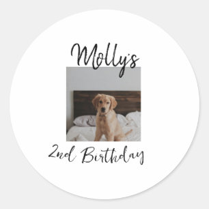 Pet dog cat animal birthday photo modern simple  classic round sticker