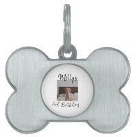 Pet dog cat animal birthday photo modern simple