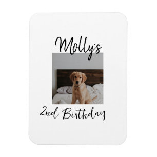 Pet dog cat animal birthday photo modern simple  magnet