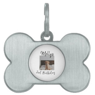 Pet dog cat animal birthday photo modern simple  pet ID tag