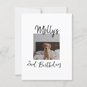 Pet dog cat animal birthday photo modern simple  postcard