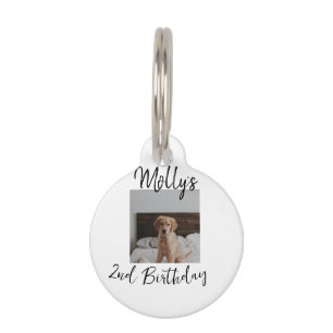 Pet dog cat animal birthday photo modern simple  tag