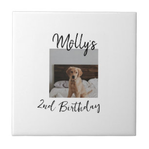 Pet dog cat animal birthday photo modern simple  tile