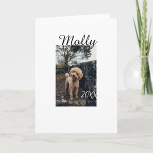 Pet dog cat animal birthday photo modern year date card