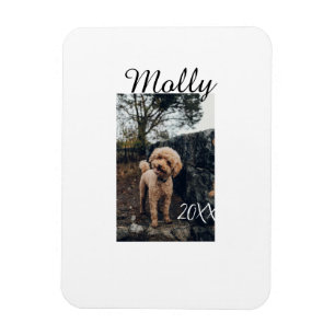 Pet dog cat animal birthday photo modern year date magnet