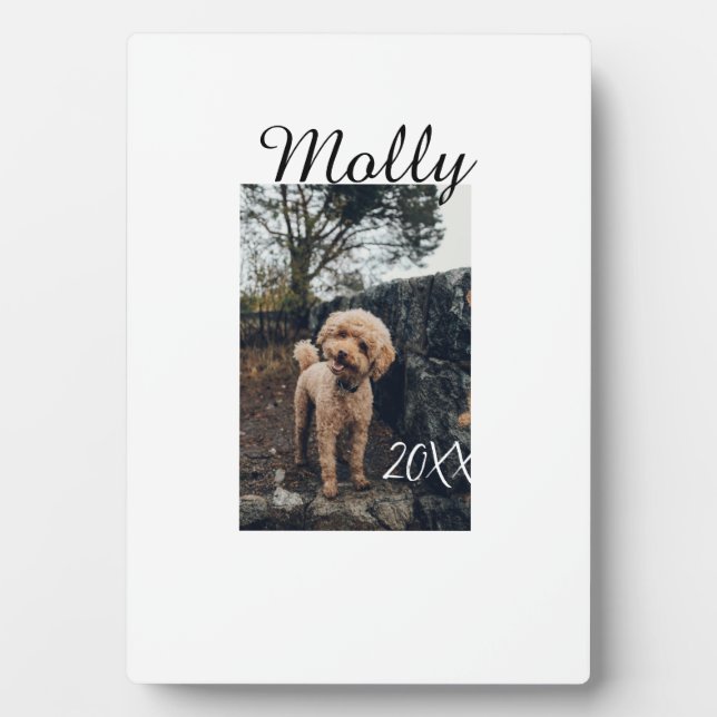 Pet dog cat animal birthday photo modern year date plaque (Front)