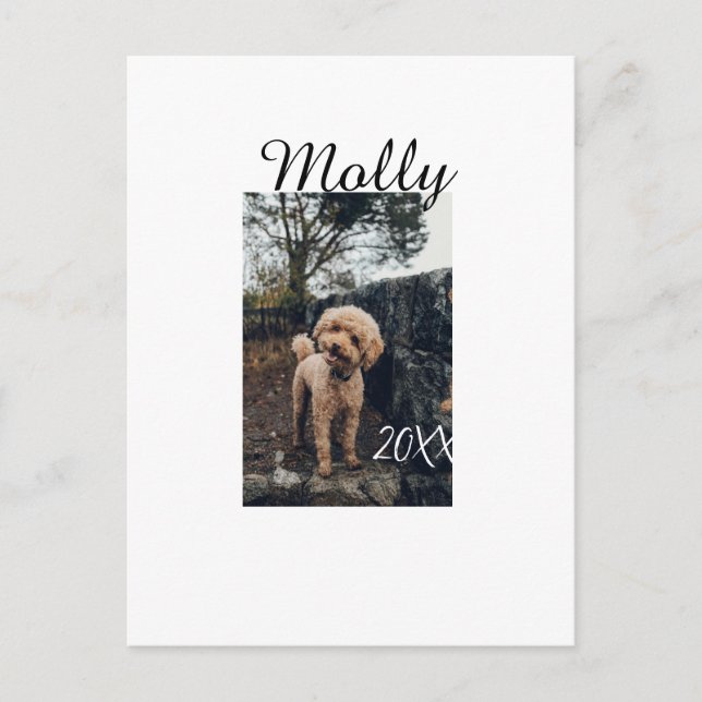 Pet dog cat animal birthday photo modern year date postcard (Front)