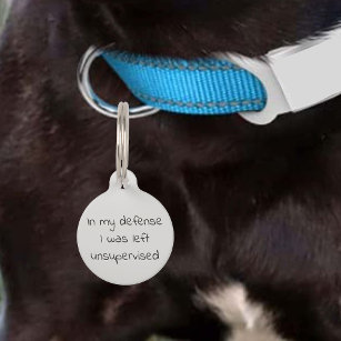 A Ring Pet Tag Just Launched—Here's How to Pre-Order It - PureWow