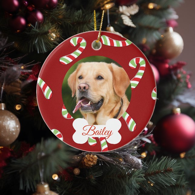 Pet Dog Cat Holiday Customise Photo Candy Cane Ceramic Tree Decoration (Creator Uploaded)