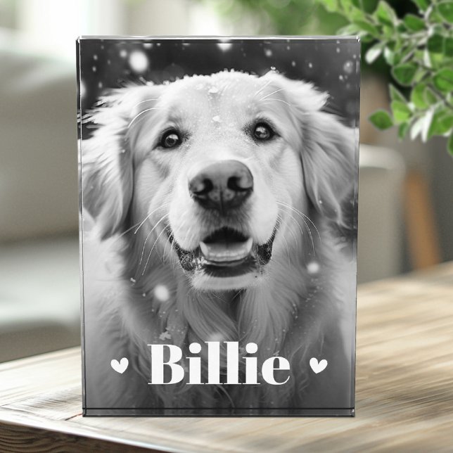 Pet dog cat name hearts photo block (Pet dog cat name hearts photo block)