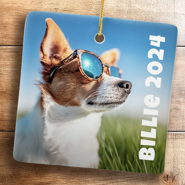Pet dog cat photo ceramic ornament (Pet dog cat photo ceramic ornament)