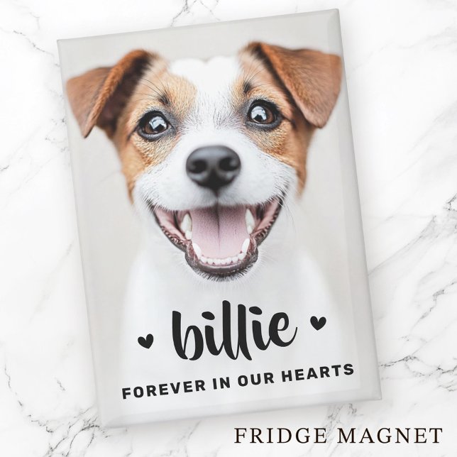 Pet dog cat photo forever in our hearts memorial magnet (Pet dog cat photo forever in our hearts memorial magnet)