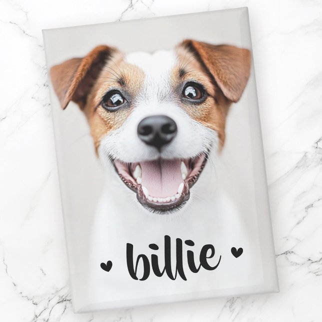 Pet dog cat photo name cute hearts magnet (Pet dog cat photo name cute hearts magnet)