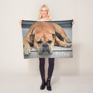 Pet Dog Chubby Continental Bulldog  Fleece Blanket