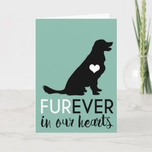 Pet Dog Condolence   Furever In Our Hearts Card