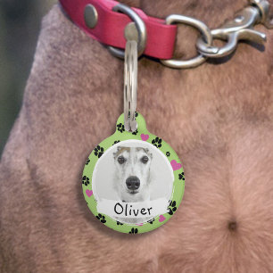 Pet dog Custom Photo Name Paw prints Light green Tag