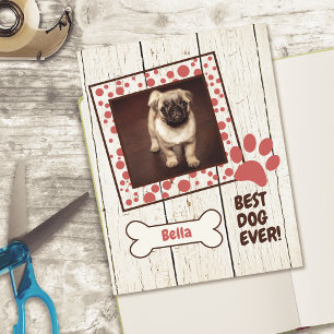 Pet Dog Girl Photo Scrapbook Cardstock Paper