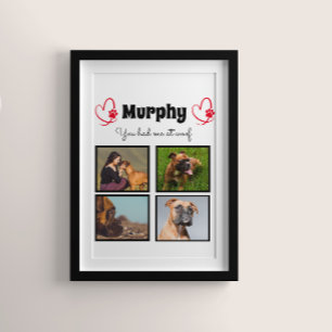 Pet dog lover 4 photo collage customised poster