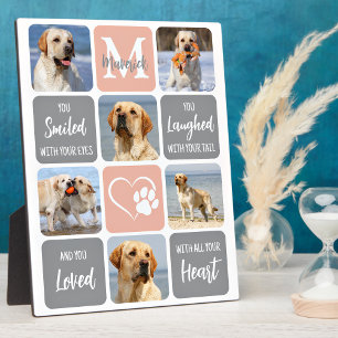 Pet Dog Memorial Custom Modern Colours 6 Photo  Plaque