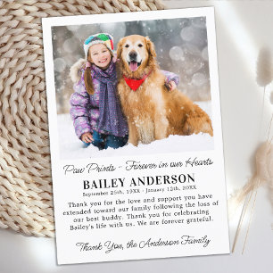 Pet Dog Memorial Modern Custom Photo Sympathy  Thank You Card
