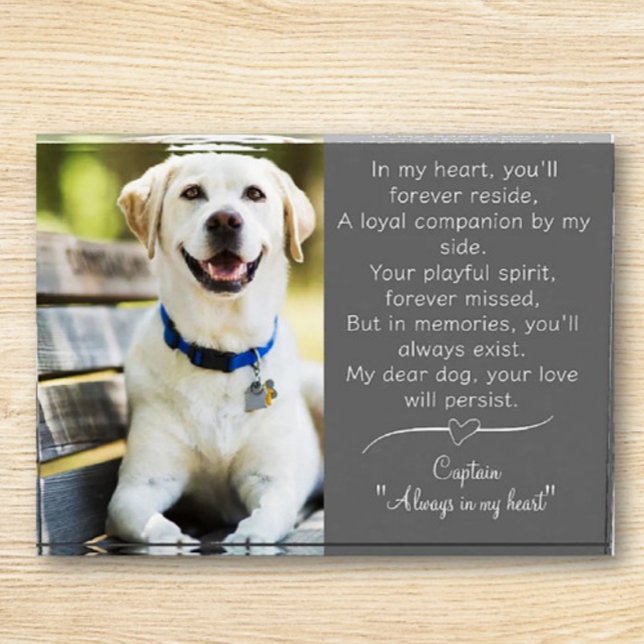 Pet Dog Memorial Photo Block (Creator Uploaded)