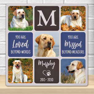 Pet Dog Memorial Remembrance Modern Colours 5 Phot Plaque