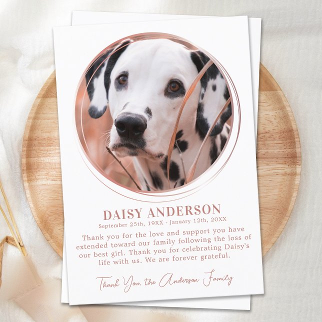 Pet Dog Memorial Rose Gold Custom Photo Sympathy Thank You Card (Creator Uploaded)