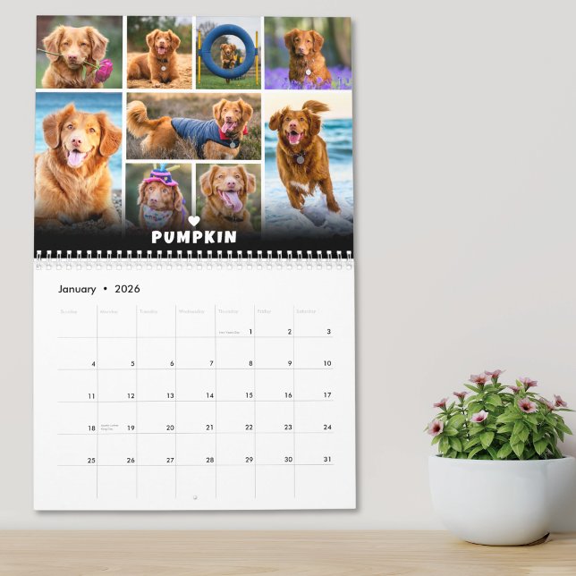 Pet Dog Photo Collage Calendar (Pet Dog Photo Collage Calendar)