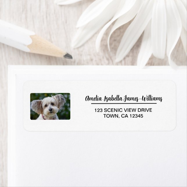 Pet Dog Photo Elegant Modern Return Address Label (Insitu)
