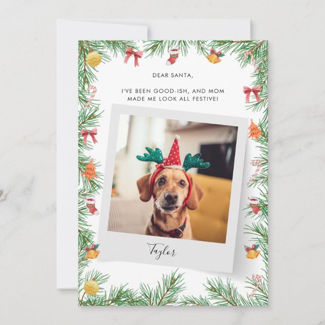 Pet Dog Photo Naughty or Nice Custom Christmas Holiday Card (Front)