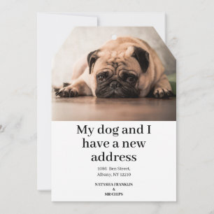 Pet Dog Photo New Address We've Moved Announcement