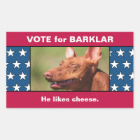 Pet Dog Photo On Funny USA Flag Election Campaign