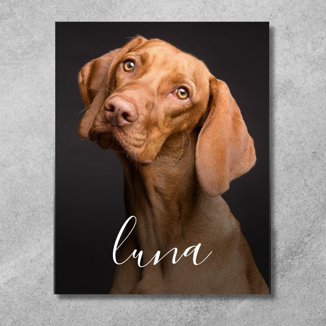Pet Dog Photo Personalised Name  Canvas Print (Pet Photo Canvas)