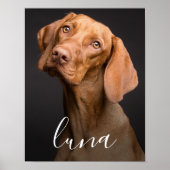 Pet Dog Photo Personalised Name  Poster (Front)
