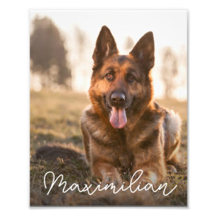 Pet Dog Photo Portrait Custom Name Print